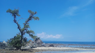 Pantai Tersembunyi Mirip Gigi Hiu di Tanggamus