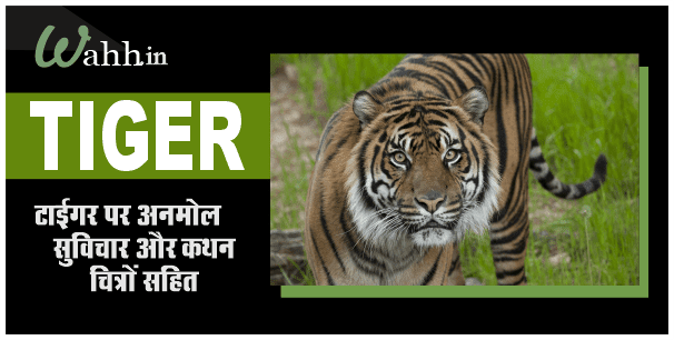 Powerful Tiger Quotes In Hindi