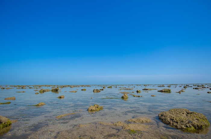 Marine National Park