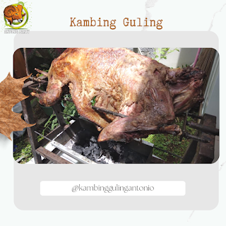 Jual Kambing Guling Subang 08112316188, Jual Kambing Guling Subang, Jual Kambing Guling, kambing guling subang, kambing guling,