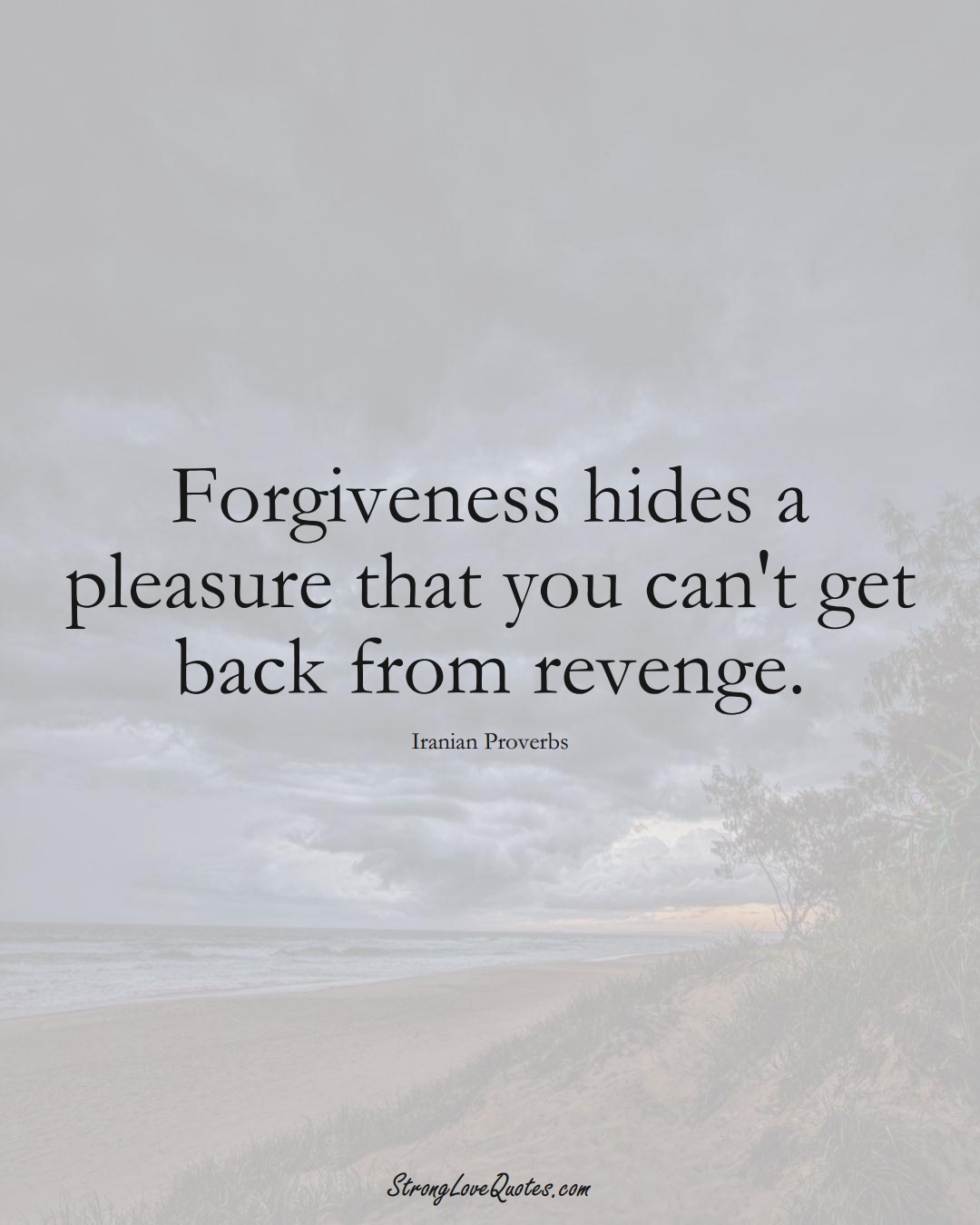 Forgiveness hides a pleasure that you can't get back from revenge. (Iranian Sayings);  #MiddleEasternSayings