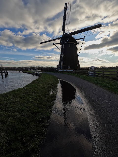 Lisse Poelpolder, de natte winter van 23 2