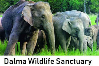 Dalma Wildlife Sanctuary information