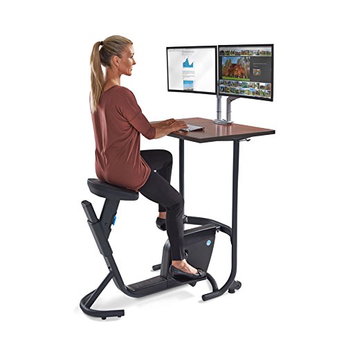 lifespan unity bike desk