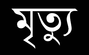 বাঁশখালীতে পিতার সামনেই গাছের আঘাতে পুত্রের মৃত্যু