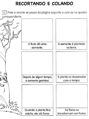 Atividades de Ciências - Plantas - DESENVOLVIMENTO-2