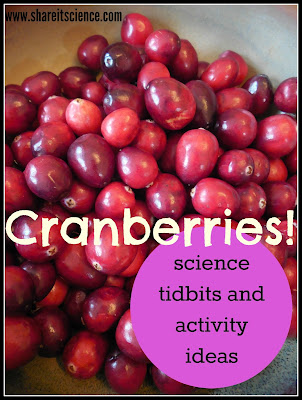 cranberries science and activities