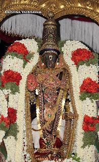 Vaigasi Visagam, Sri Nammazhwar Sattrumurai ,Purappadu,Video, Divya Prabhandam,Sri Parthasarathy Perumal, Triplicane,Thiruvallikeni,Utsavam,Brahmotsavam