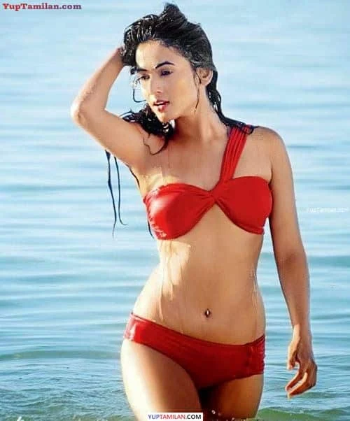 Sonal Chauhan Sexy Bikini Photos & Navel Pics