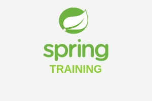 https://www.slajobs.com/spring-training-in-chennai.php