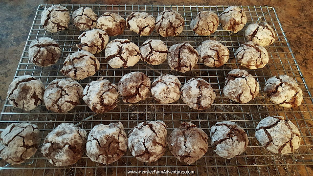 Crinkle Brownie Cookies cooling