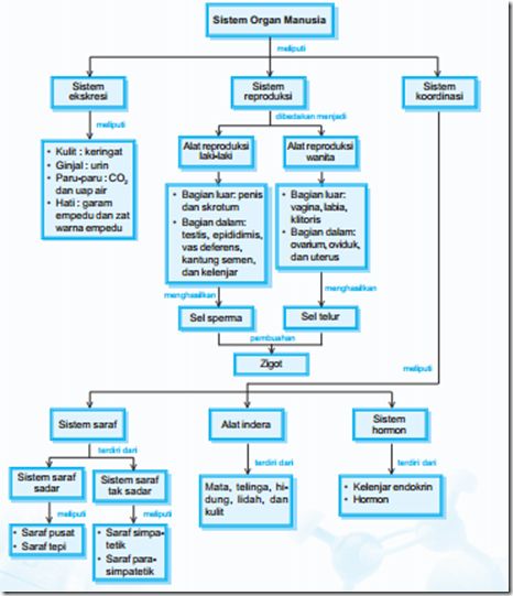 Peta Konsep Sistem Organ Manusia