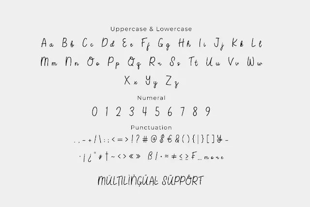 Husterican Monoline Script Font