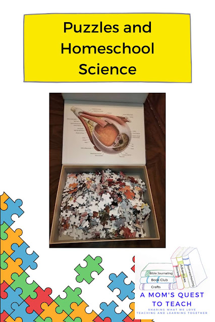 A Mom's Quest to Teach: Puzzles and Homeschool Science — inside of puzzle box