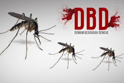 Andi Sudirman Sulaiman Imbau Warga Sulsel Antisipasi Penularan Demam Berdarah Dengue