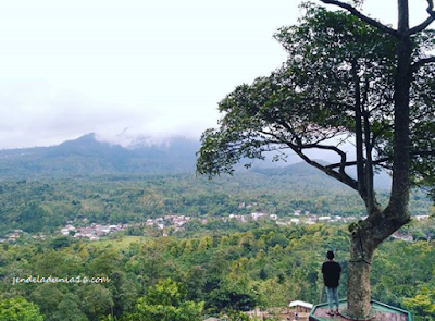 Menikmati Keindahan Alam Indonesia Dari Bukit Mendelem Pemalang