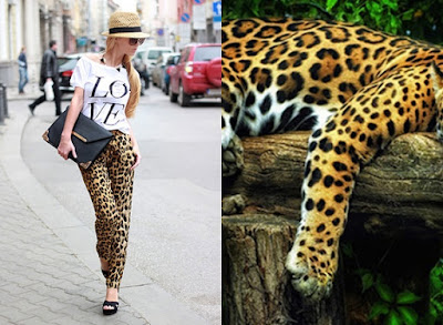 moda leopard print onca