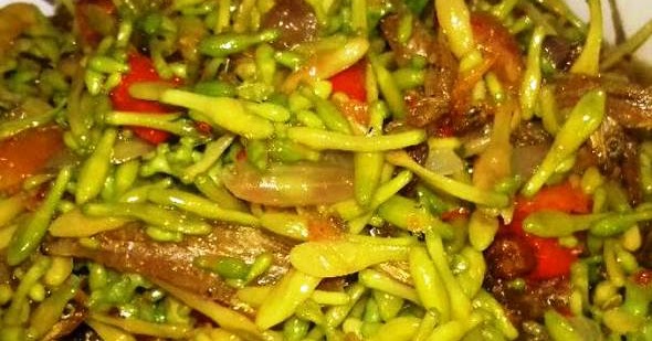 Resep Tumis Bunga Pepaya Buncis Wortel Resep Masakan 