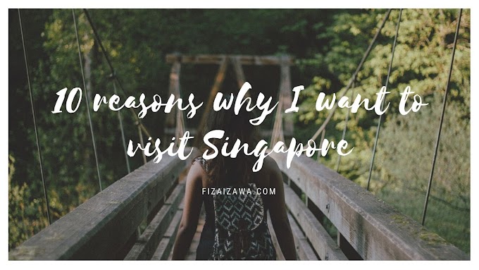 10 reasons why I want to visit Singapore