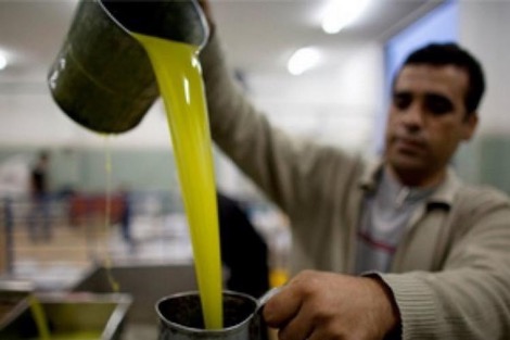 المضاربة ترفع أسعار زيت الزيتون إلى "مستويات قياسية" بالمغرب