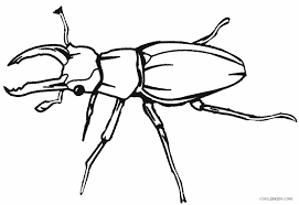 Printable Rhinoceros beetle Coloring Pages For Kids