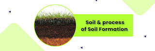 soil formation