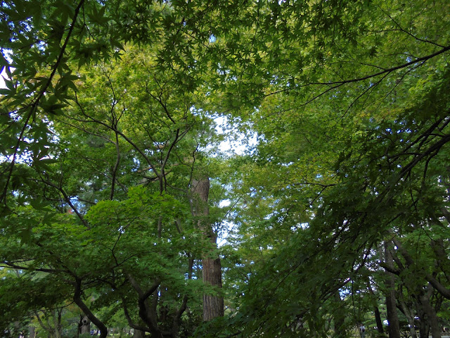 金沢兼六園