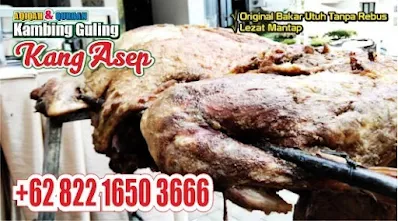 Kambing Guling Cibeber Cimahi,Kambing Guling Cibeber,Kambing Guling Cimahi,Kambing Guling,