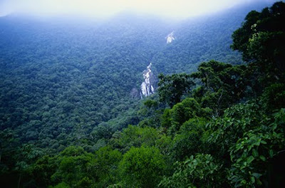 Hutan Hujan Amazon