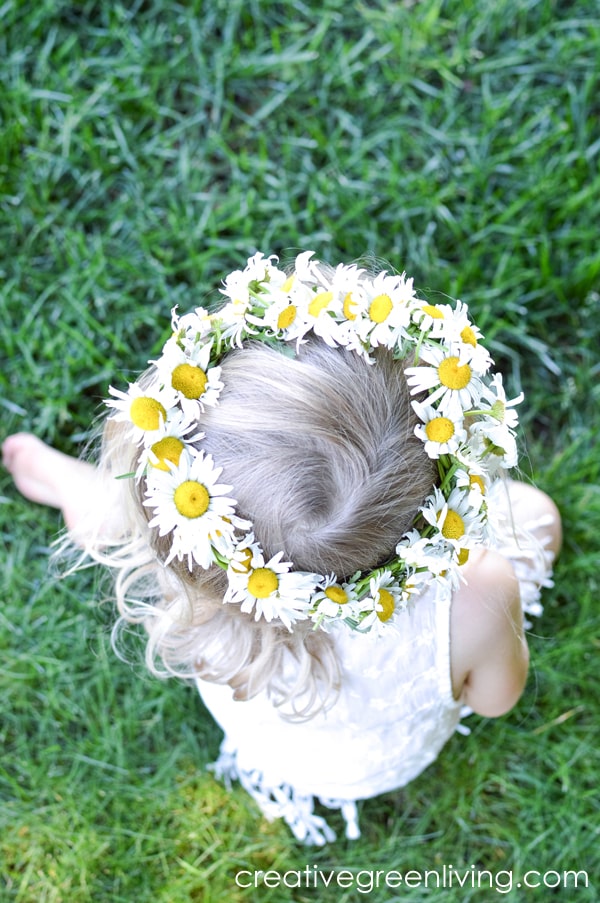 How to make a daisy chain flower crown or bracelet with real flowers. This easy DIY tutorial shows you how to make a floral headband or crown from daisies, dandelions or other wildflowers. #creativegreenliving #daisychain #flowercrown #kidscrafts