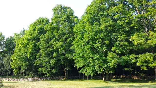 20140708_185840