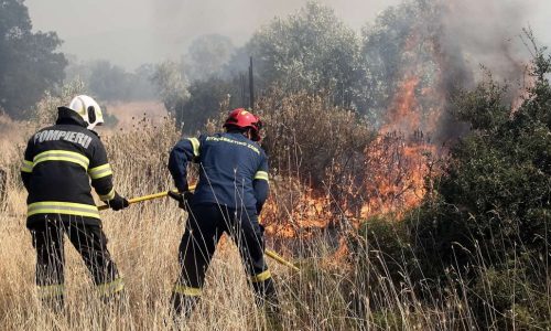 Στις αρχές Ιουνίου θα πιάσει δουλειά το σώμα των δασοκομάντος. Μία από τις ομάδες θα έχει έδρα στα Ιωάννινα και θα αποτελείται από εξήντα συνολικά άτομα. Το πιθανότερο είναι ότι μαζί με την ομάδα των δασοκομάντος θα εγκατασταθεί και ελικόπτερο για την αερομεταφορά του.