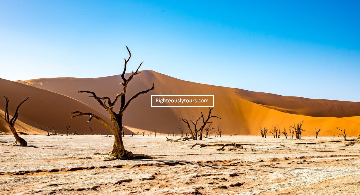 Deadvlei Forest, Namibia, Africa - Most Beautiful Forest In The World