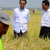 Jokowi Sukses Bangun Jalan, Jembatan dan 16 Ribu Saluran Air Bersih