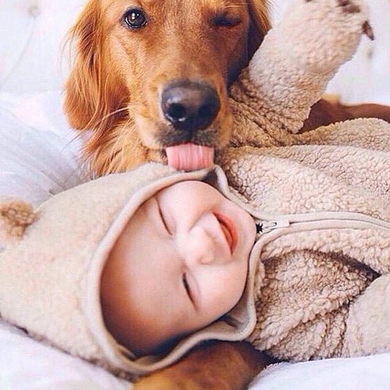 Cute baby boy playing with dog