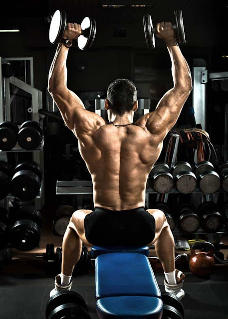 What is a shoulder press
