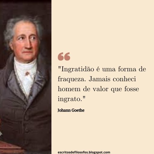 Pensamentos de Johann Goethe