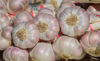 Garlic Nutritional Benefits