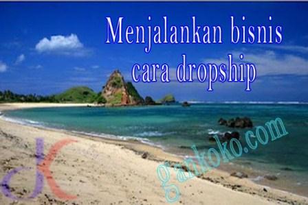 https://www.gankoko.com/2021/10/menjalankan-bisnis-cara dropship.html