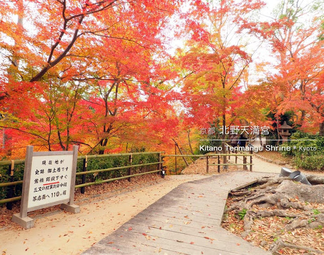 [京都] 北野天満宮の紅葉