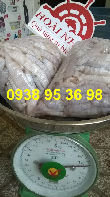 Sỉ lẻ sá sùng, trùn biển giá tốt 0938 95 36 98.  Mua bán sá sùng tươi ngon giá rẻ tại Sài Gòn, trùn biển tươi giá tốt, giá bán sá sùng rẻ nhất tại hải sản Hoài Nhơn, mua sá sùng tươi ngon giá rẻ tại đây, trùn biển tươi sạch cát giá rẻ, cung cấp sỉ lẻ sá sùng tươi làm sạch, sá sùng tươi rẻ, trùn biển ngon làm sạch.  Các món ngon từ sá sùng, trùn biển: cháo sá sùng - trùn biển, sá sùng - trùn biển nướng, trùn biển - sá sùng nấu lẩu, sá sùng - trùn biển xào các món, canh sá sùng - trùn biển, súp trùn biển - sá sùng,...  Hoài Nhơn 0938 95 36 98