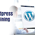 LEARN TO BUILD DYNAMIC WEBSITES ON WORDPRESS FROM INDUSTRY EXPERTS