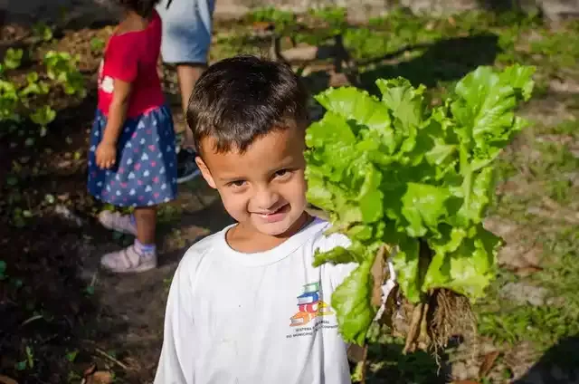 Programa Hortas Educacionais em todos os CEIs e Escolas da Ilha Comprida é sucesso e encanta as crianças