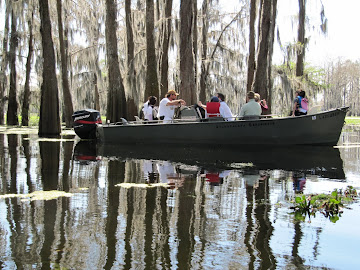 Les bayous de l’Atchafalaya – 19 mars