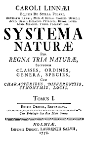 Carolus Linneaus,systema natura,Carolus Linneaus book