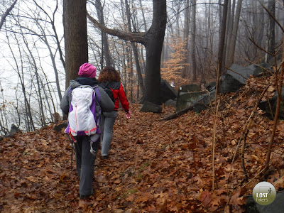 A la orilla del Hudson River, en Shore Trail. Palisades Interstate Park