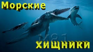 интересные факты