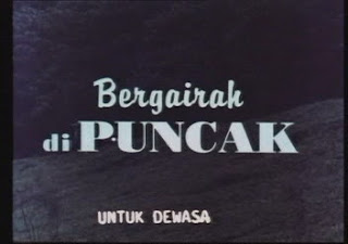 Bergairah Di Puncak (1996)