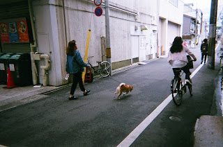 Morning stroll with disposable camera in Kyoto