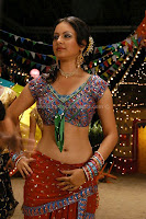 Pooja, bose, hot, navel, show, photos, gallery